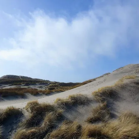 8 Person In Ringkøbing