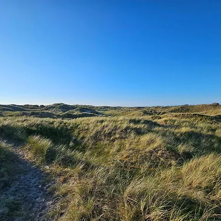 8 Person In Сasa de vacaciones Ringkøbing