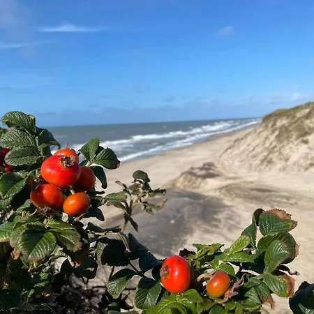4 Star In Casa vacanze Ringkøbing