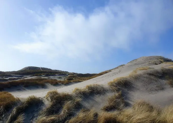8 Person In Ringkøbing
