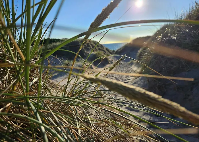 8 Person In * Ringkøbing